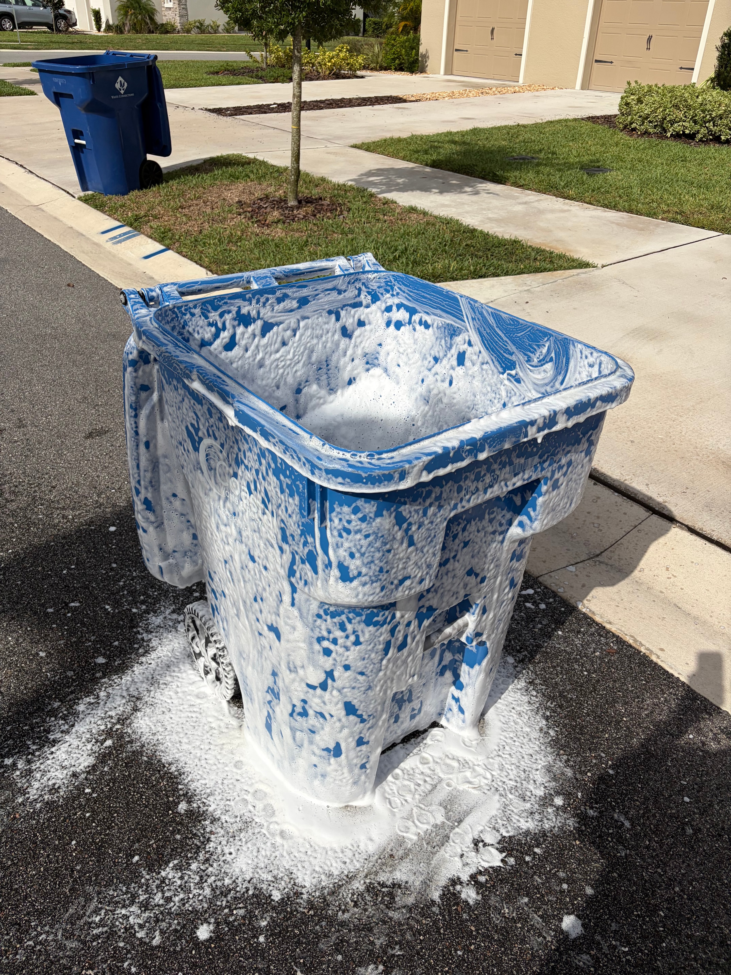 Trash Bin Cleaning